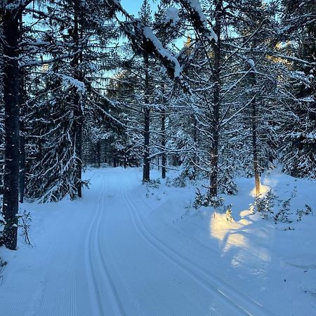 Bjorgebu Camping As Mysusæter エクステリア 写真